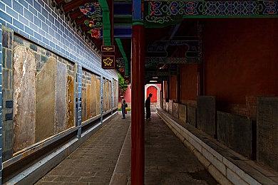 暴雪副总裁：《守望先锋》关服详细信息将于明日公布